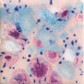 Pink Pixie - 4oz Jungle Gem Crystal Glaze